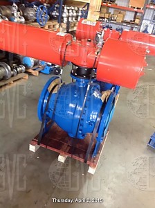 Trunnion Ball Valves